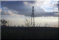 Pylon, Benfleet Marshes