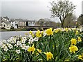 River Derwent at Cockermouth