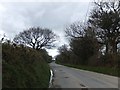 The road to Lydford Forest