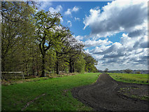 TQ2997 : Field in Trent Park, Cockfosters, Hertfordshire by Christine Matthews