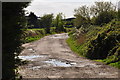 Sedgemoor : Small Lane