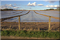 Plastic-covered field, Cronan, near Ardler