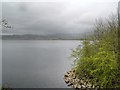 NY2030 : Bassenthwaite Lake near Peel Wyke by David Dixon