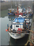 NU2232 : Lowestoft Registered Fishing Boats : LT22 Sophie Dawn at Seahouses Harbour by Richard West