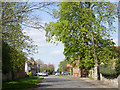 High Street, Orston