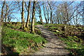 Threave Estate, The Red Trail near Hillhead