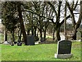 Family graves in the Catholic section of Killevy Churchyard