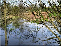 SD7910 : Daisyfield Weir, River Irwell by David Dixon