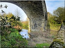 SD7910 : Daisyfield Viaduct by David Dixon