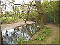 The River Brent between Pitshanger Park and Ealing Golf Club