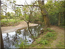 TQ1782 : The River Brent between Pitshanger Park and Ealing Golf Club by David Howard