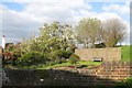 Garden in The Street, Thursley