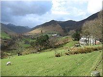 NY2119 : In Newlands Valley by David Purchase