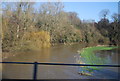 TQ5646 : Flooding by the River Medway by N Chadwick