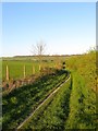 Bridleway to Ditchling Road