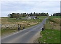 Cattle grid by Elsdon Burn