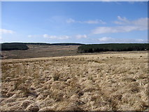 SN8360 : Moorland at the head of the Afon Irfon by Rudi Winter