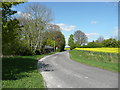 The road to Shillington at Pegsdon