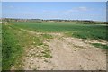 Arable land near Shepton Beauchamp