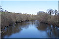 River Dart at Staverton