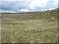 Limestone outcrops above Scarside