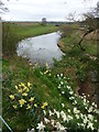 The River Eden in springtime