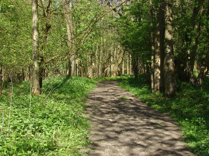 Footpath, Bowsey Hill © Alan Hunt :: Geograph Britain and Ireland