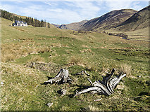 NO0871 : View towards Glen Taitneach by William Starkey
