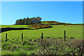 Farmland at Barend