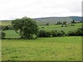 Pasture off Hollyhill Road