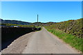 Road to the A711 near Redliggate