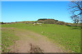 Farmland at Orchardton Mains