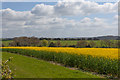 Square field on South Lynch estate