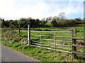 Farmland and hedgerows west of Limekiln Road