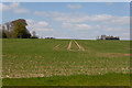 Field west of Merdon Castle