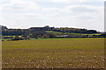 Farm buildings at South Lynch