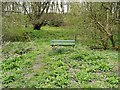 Yarrow Valley Park, Birkacre Wood