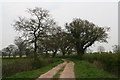 Bridleway to Hainton