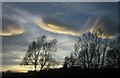 Trees and sky, Tibshelf