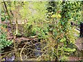 SD5714 : Footbridge over River Yarrow by David Dixon
