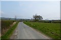 Footpath off Bugthorpe Lane