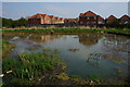 Pond on spare land north of Sutton Road, Hull