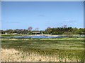 SD4214 : View Across Martin Mere from United Utilities Hide by David Dixon