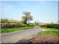 Primrose Hill From Icknield Street