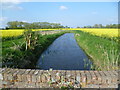 Cheyne Gut Sewer from an occupation bridge