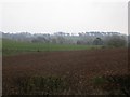 Newly ploughed field