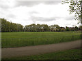Football pitch, Deptford Park