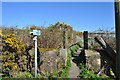 Footpath to Fordell