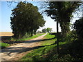 Path to Rodmarton Barrow 2 - Gloucestershire