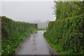 Mid Devon : Country Lane